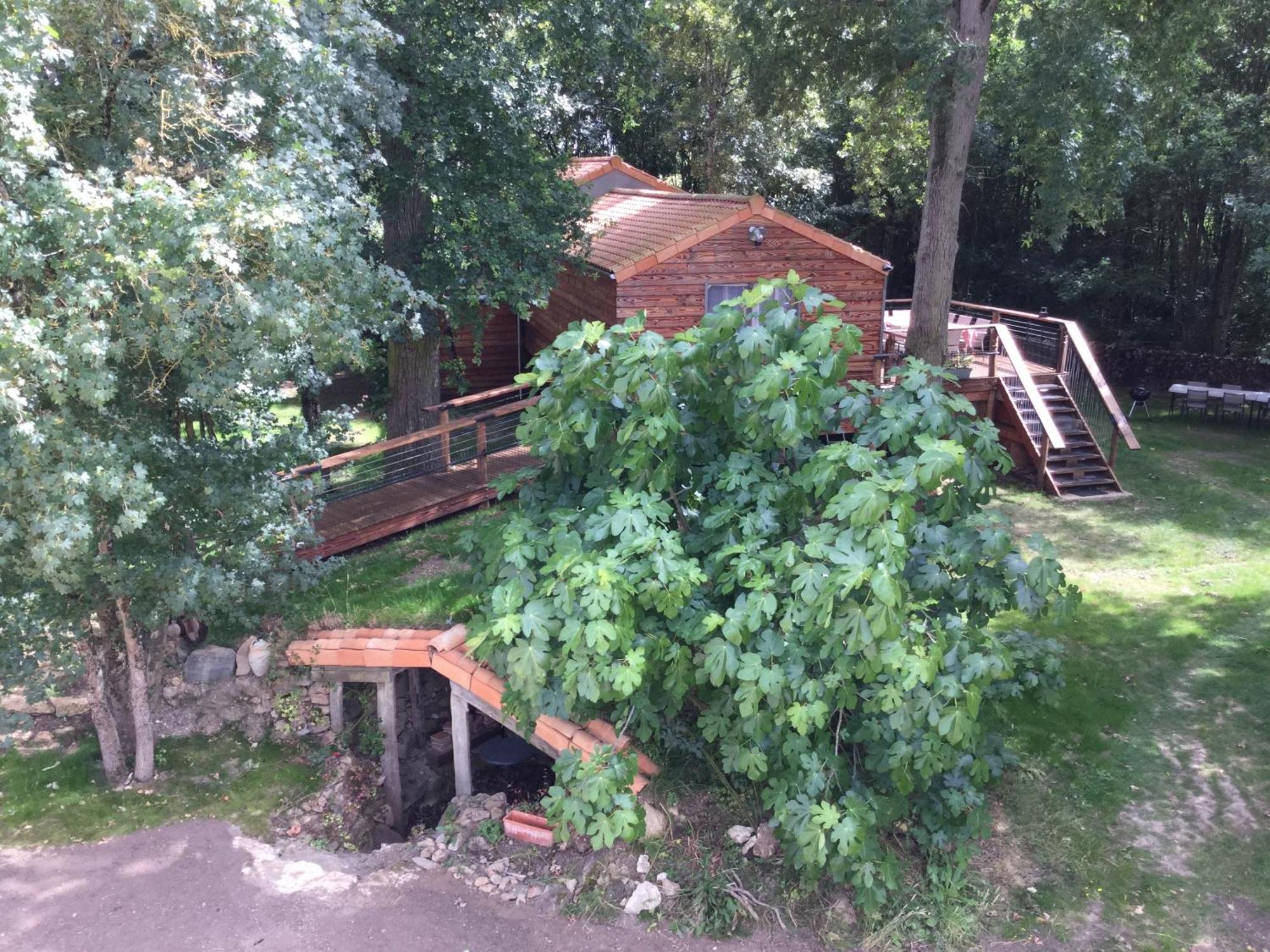 Colibri Loc - Insolite - 3 Etoiles - Parc - Etang - Familles - Soiree Ok Brigne Екстериор снимка